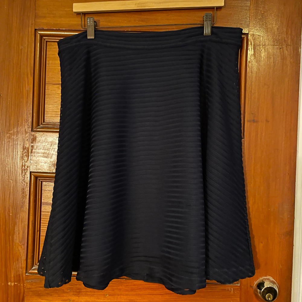 Navy Fit N Flare Mesh Striped Overlay Skirt